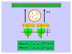 SPIN HALL 현상과 고온 초전도 현상